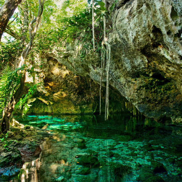 natural beauty