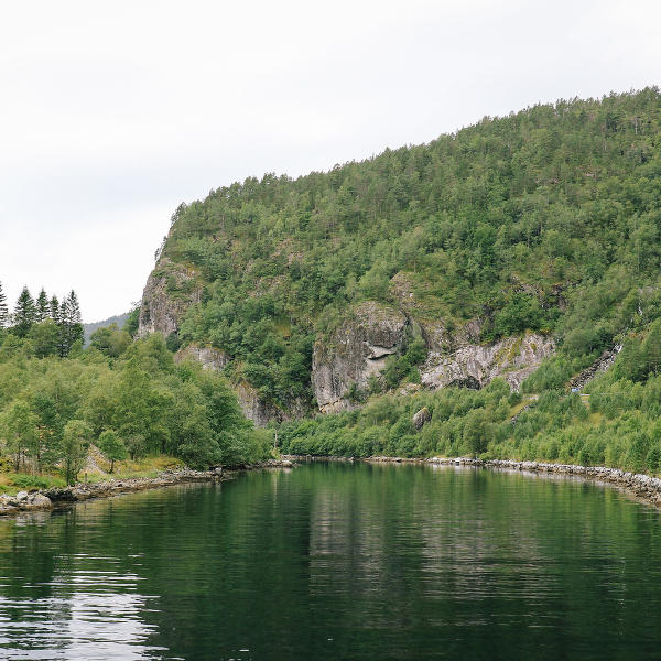 natural landscape