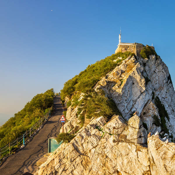 above view of mountain and city