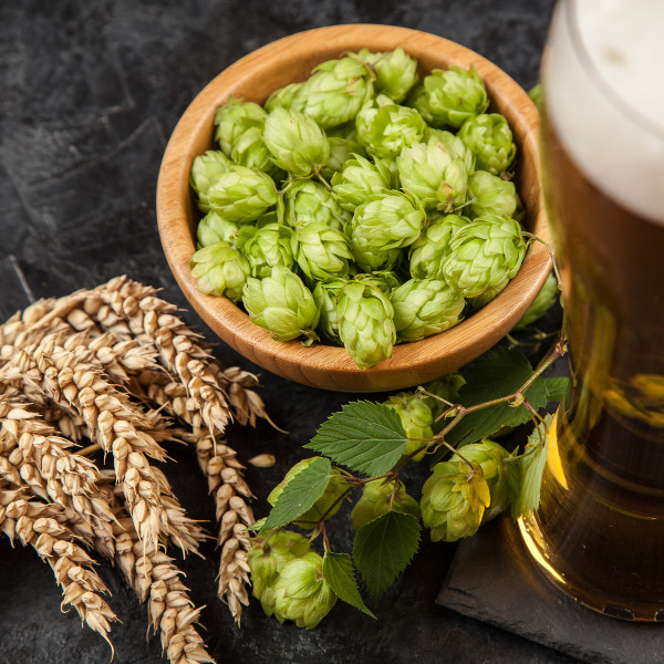 qingdao-beer
