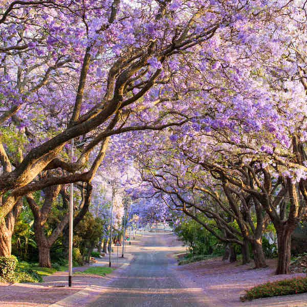 Nature and Parks