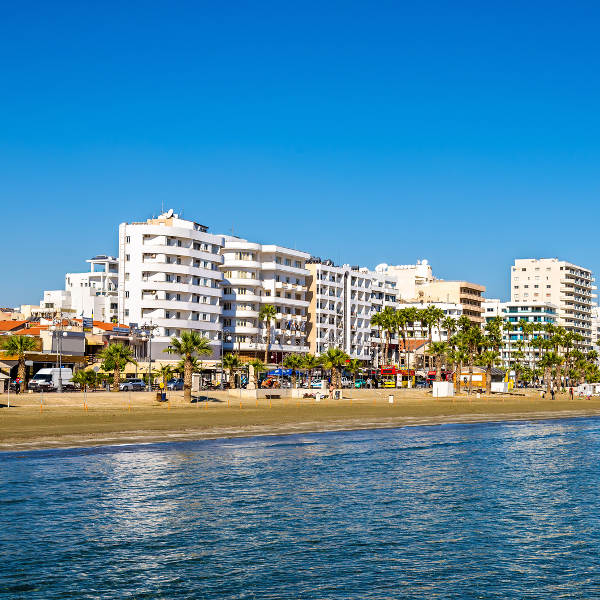palm tree beachfront