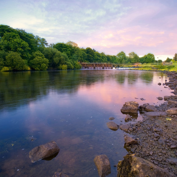 Shannon River