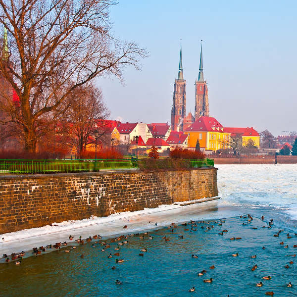River Oder with Ducks Wroclaw