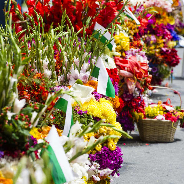 medellin festival of flowers