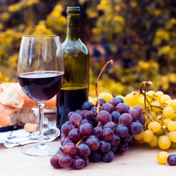 mendoza wine