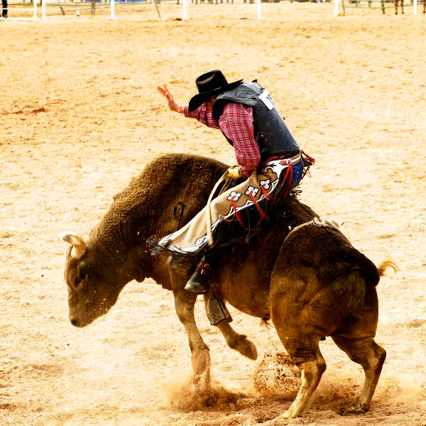 mount isa rodeo