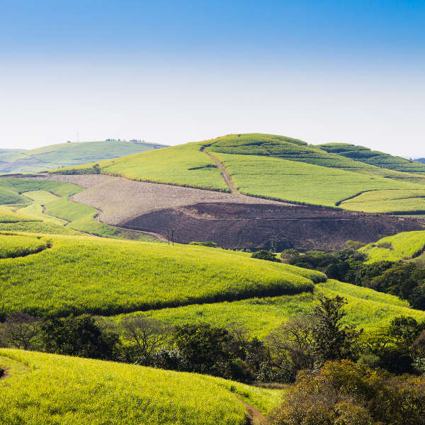 rolling landscapes