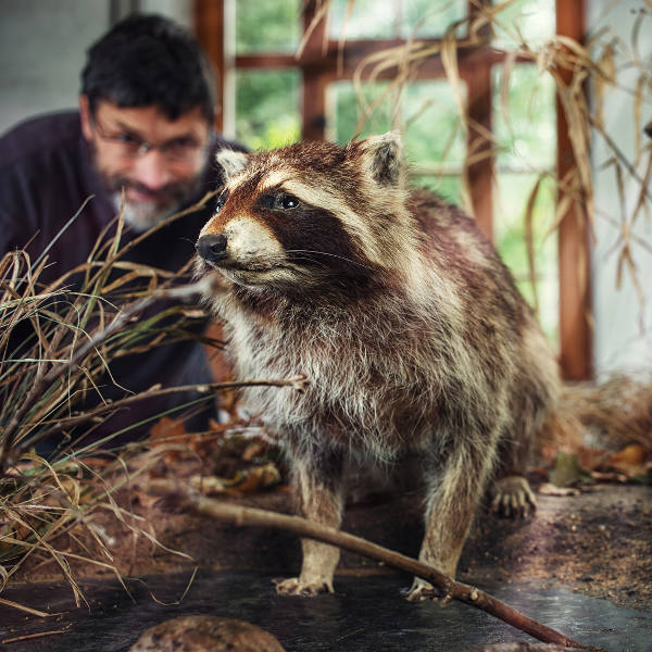 wild-animals-winnipeg-museum
