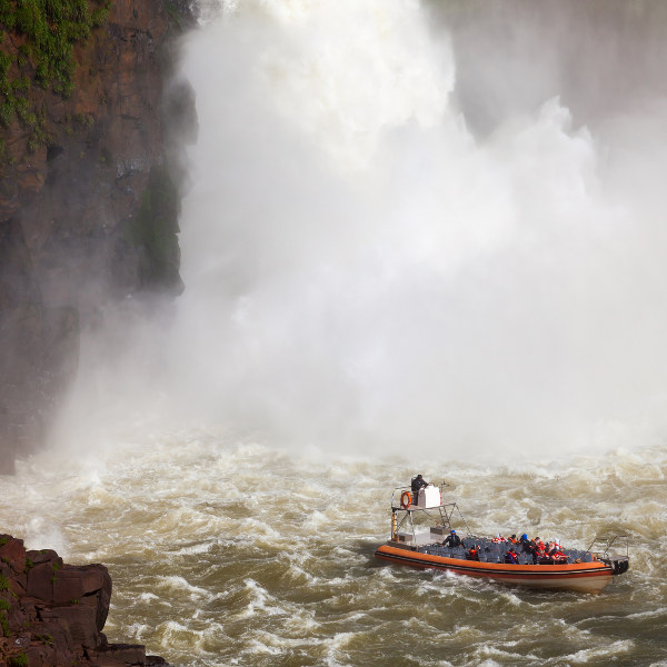 iguazu-falls-jungle