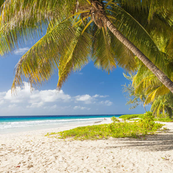 beaches-barbados-serene