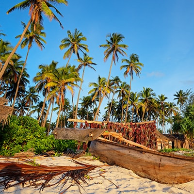 Value Voyager Zanzibar