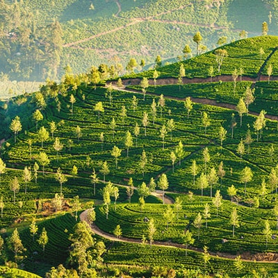 Value Voyager - Asia